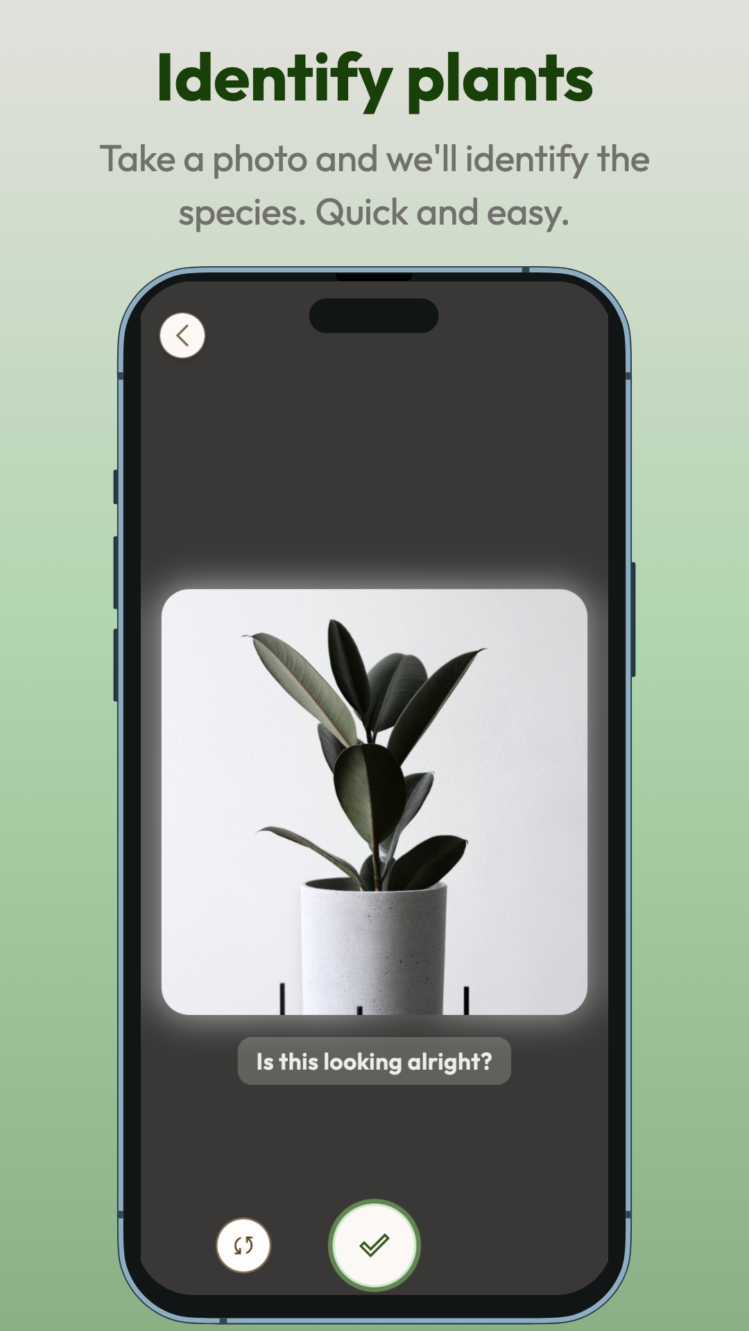 Planti app screenshot: Identify plants