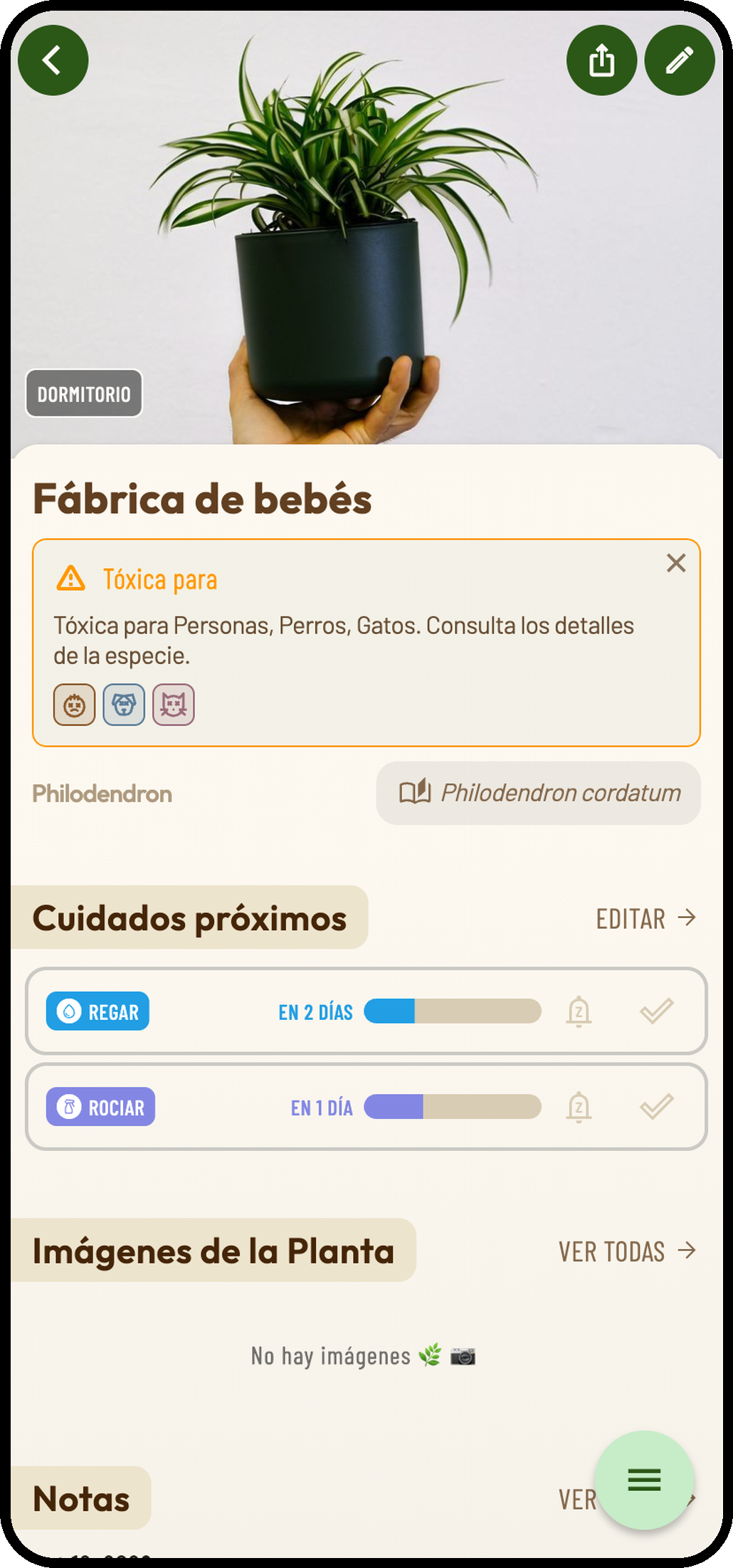 Captura de Planti: Detalles de la planta