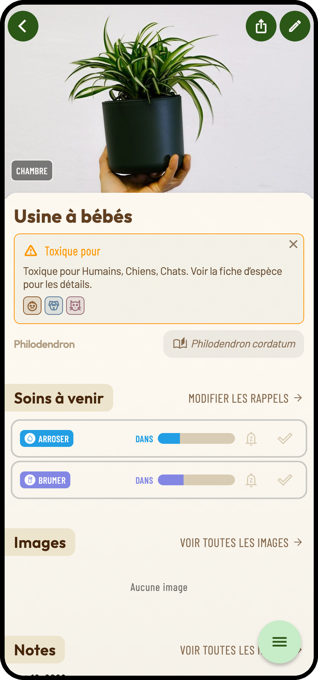 Capture Planti : Détails de la plante