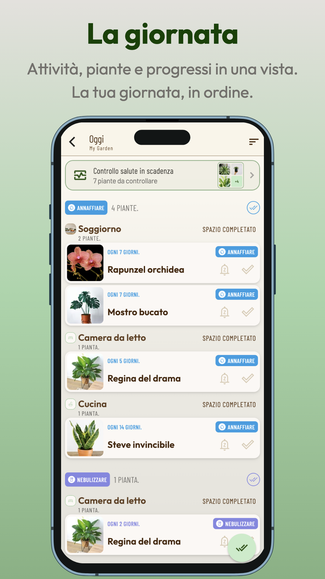 Screenshot Planti: La giornata