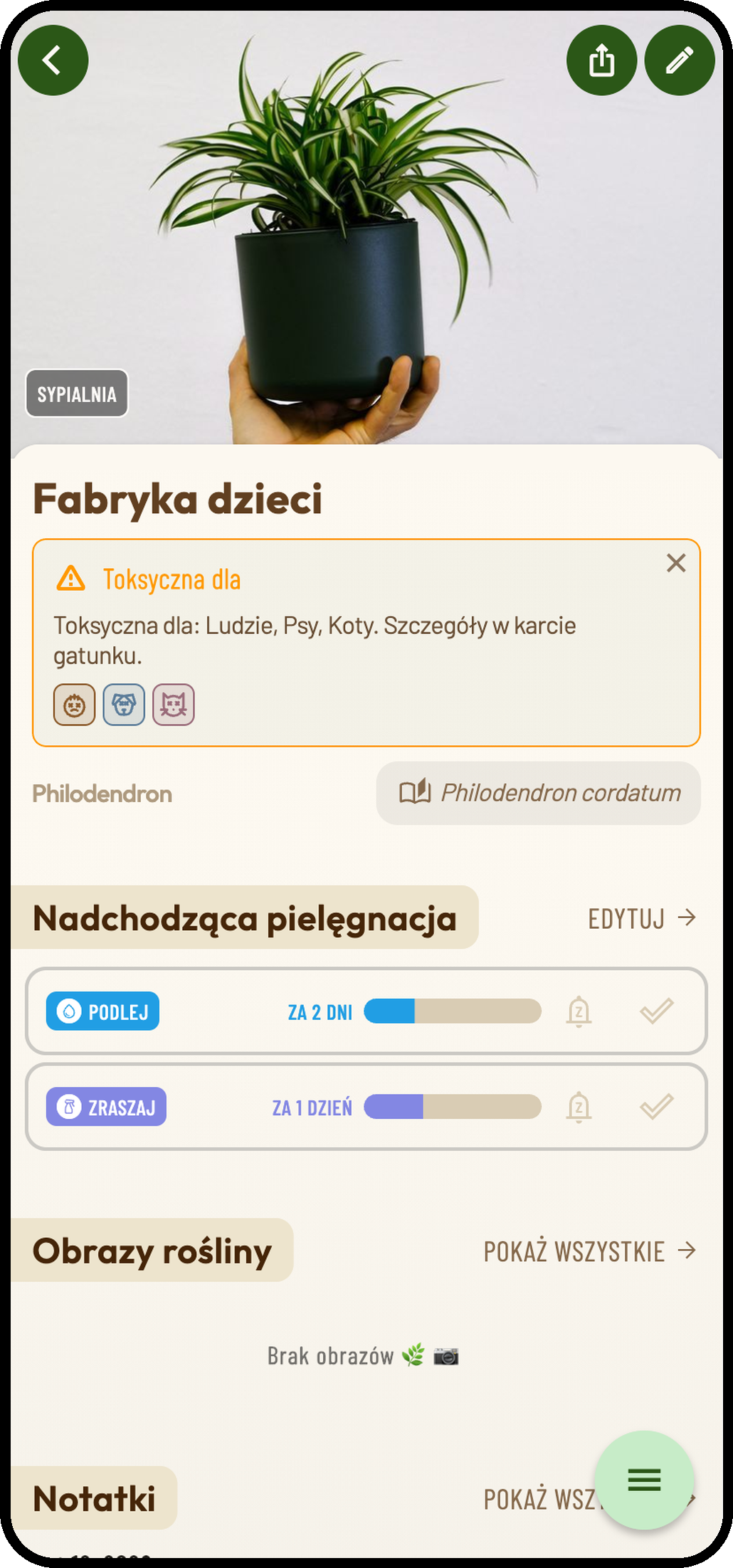 Zrzut ekranu Planti: Szczegóły rośliny